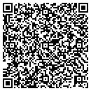 QR code with Color Ink Corporation contacts