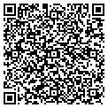 QR code with S-Line contacts