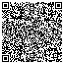 QR code with Ps Its Leather contacts