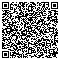 QR code with Y Cook contacts