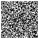 QR code with Professional Wear Corp contacts