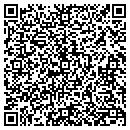 QR code with Pursonaly Yours contacts
