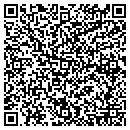 QR code with Pro Source One contacts