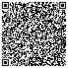 QR code with Handyman Jack & Son Inc contacts