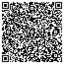 QR code with Pyramid Development Co contacts