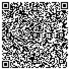 QR code with Public Works Corp contacts