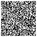 QR code with Borglund Tyson LLC contacts