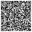 QR code with Cj Risk Manager Inc contacts
