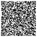 QR code with Pro Assembly contacts
