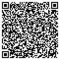 QR code with Digistore Inc contacts