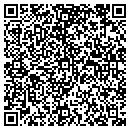 QR code with Pqs2 LLC contacts