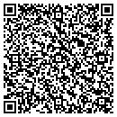 QR code with Public Records Investor contacts