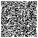 QR code with Preferred Fire Inc contacts