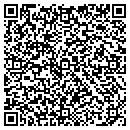 QR code with Precision Information contacts