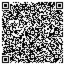 QR code with Professional Data Inc contacts