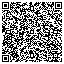 QR code with Cogan Technology Inc contacts