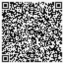 QR code with Castscapes LLC contacts