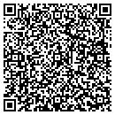 QR code with Pyramid Seat Covers contacts