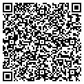 QR code with Wiline contacts