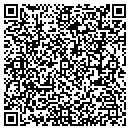 QR code with Print Scan LLC contacts