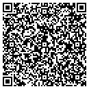 QR code with Collection Team Inc contacts