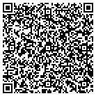 QR code with Blue Water Construction contacts