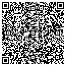 QR code with Pt Express Grocery contacts