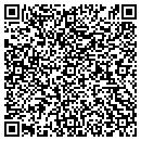 QR code with Pro Techs contacts