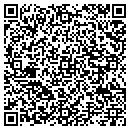 QR code with Predor Painting Inc contacts