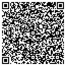QR code with Chicago Hair Design contacts