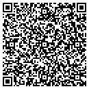 QR code with Pve Piling Equipment contacts