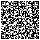QR code with Pyramid Sound Inc contacts