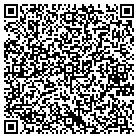 QR code with Cybernet Financial Inc contacts