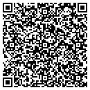QR code with Caribbean Deco & Art contacts