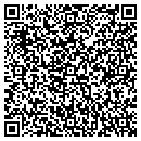 QR code with Colean Services Inc contacts