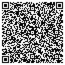 QR code with Professional contacts