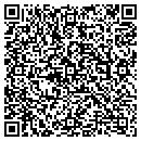 QR code with Princeton Homes Inc contacts
