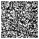 QR code with Cruise Services Inc contacts