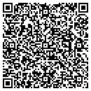 QR code with Practical Paper Inc contacts