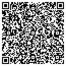 QR code with Blevins Painting Inc contacts