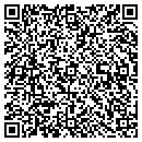 QR code with Premier Metal contacts