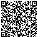 QR code with W Group contacts