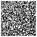 QR code with PVF Marketing Inc contacts