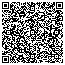 QR code with Precious Views Inc contacts
