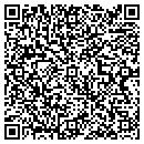 QR code with Pt Sports Bar contacts