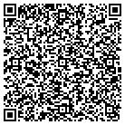 QR code with Terry Defelice Painting contacts