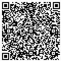 QR code with Bawls contacts