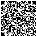 QR code with Carlisle Group contacts