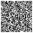 QR code with Process Data contacts