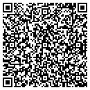 QR code with Cyclone Systems Inc contacts